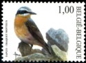 100-vogels-2002-918-125p.jpg