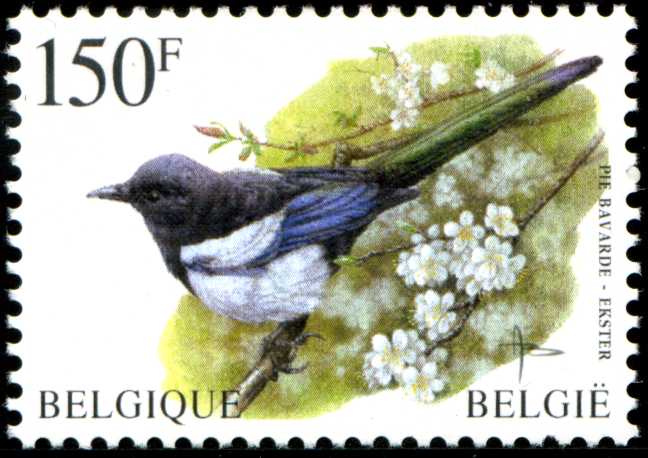 150-franc-vogels-1997-910.jpg