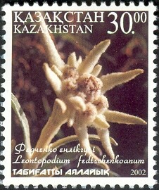 4-postzegelblog-postzegel-edelweiss-kazachstan-2002