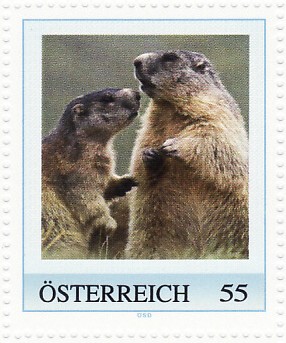 3postzegel-marmota-marmota-alpenmarmot-murmeltier-oostenrijk-postzegelblog