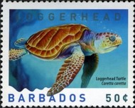 4-postzegel-zeeschildpad-onechte-karetschildpad-barbados-2007
