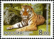 5-postzegel-siberische-tijger-rusland-2005