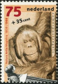 6-postzegel-orang-oetan-nederland-1988