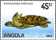 6-postzegel-zeeschildpad-karetschildpad-angola-2007