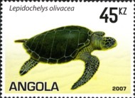 7-postzegel-zeeschildpad-lepidochelys-angola-2007