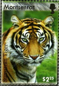 9-postzegel-sumatraanse-tijger-verenigd-koninkrijk-montserrat-2008