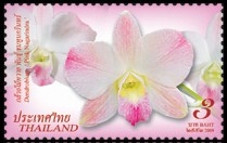 thailand_bloem_orchidee_5