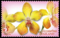 thailand_bloem_orchidee_6