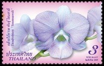 thailand_bloem_orchidee_7
