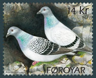 the-rock-pigeon-stamp-faroer
