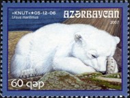 1 ijsbeer Azerbeidzjan 1 2007 (Knut 05-12-2007)