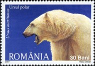 13 ijsbeer Roemenië 2007