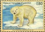 17 ijsbeer Verenigde Naties Genevè 1997