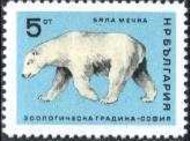 3 ijsbeer Bulgarije 1966