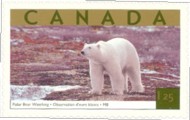6 ijsbeer Canada 2003