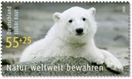 7 ijsbeer Duitsland 2008 (Knut)