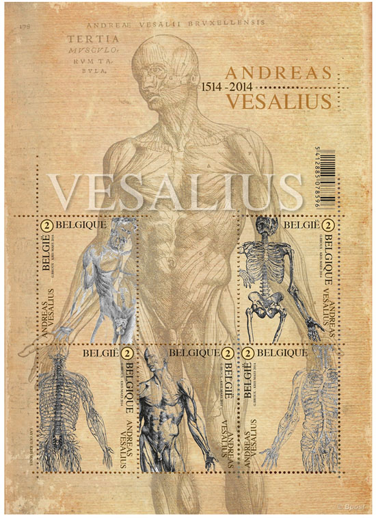 22 april Andreas Vesalius