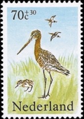 NVPH 1304 - Zomerzegels - Weidevogels - grutto