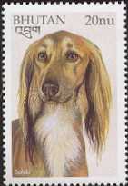 Saluki postzegel