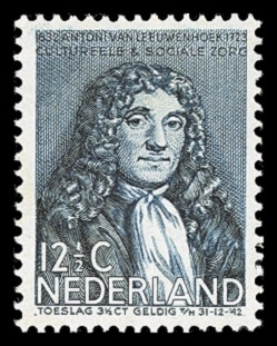 leeuwenhoek