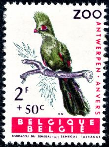 belgie-1218