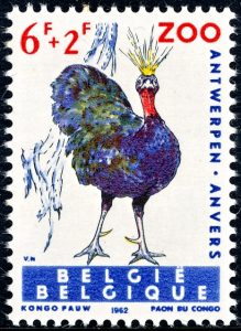 belgie-1221