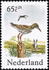 NVPH 1303 - Zomerzegels weidevogels 1984 Tureluur
