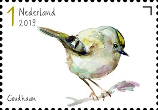Tuinvogels in Nederland - Goudhaan