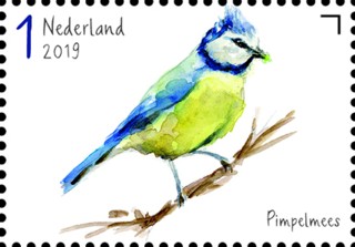 Tuinvogels in Nederland - Pimpelmees