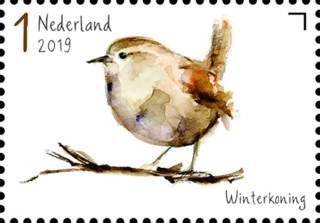 Tuinvogels in Nederland - Winterkoning
