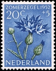 NVPH 587 - Zomerzegel 1952 - korenbloem