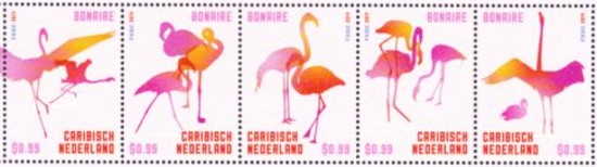 Bonaire - vogels (2014)