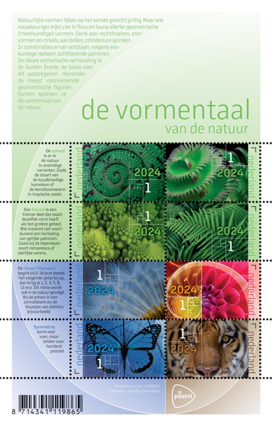 De vormentaal van de natuur